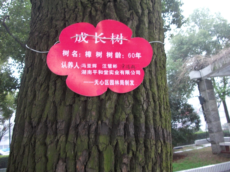 20113  ֲ