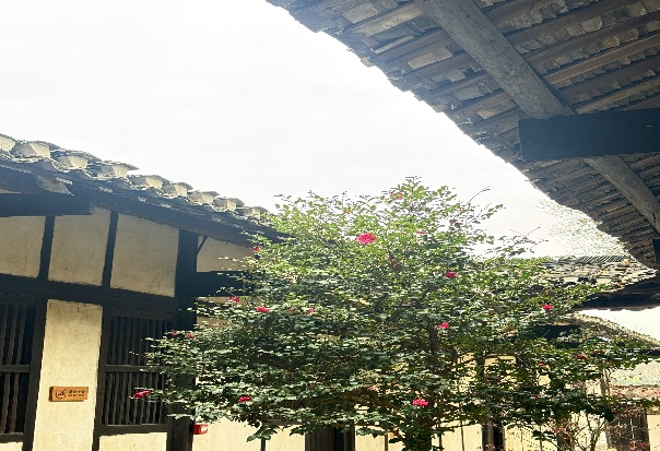 2024�궬��������չ�